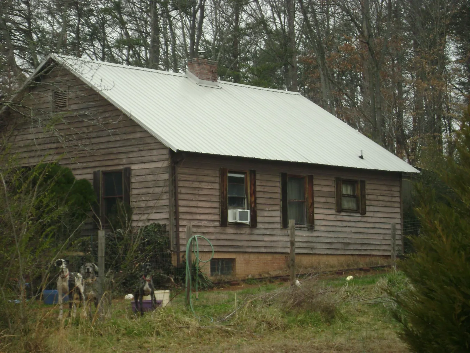 White metal roof on an old wood sided farmhouse, from a Asphalt Shingle Roof Repair job in Concord